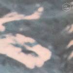 Oso Leone - Oso Leone